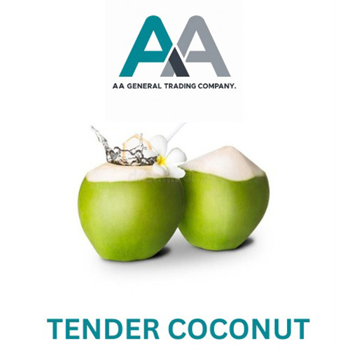 Green Coconut - Shape: Oval