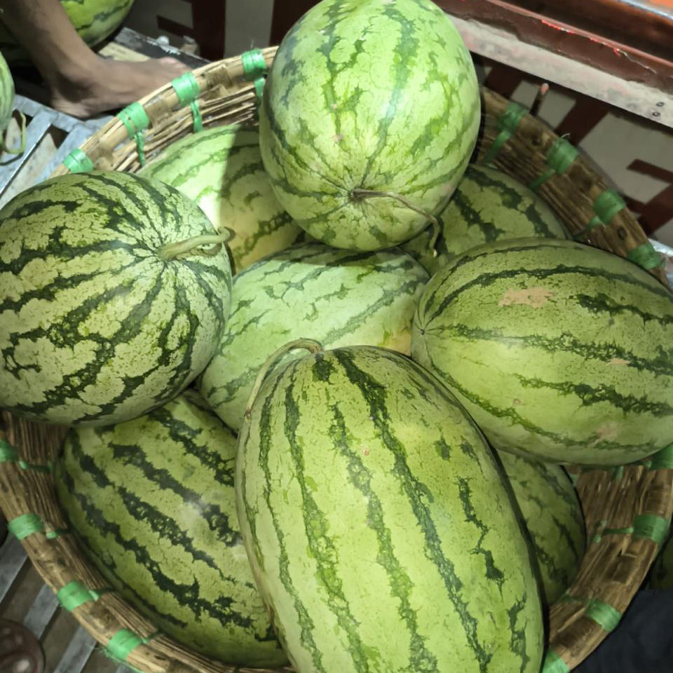 Fresh Watermelon
