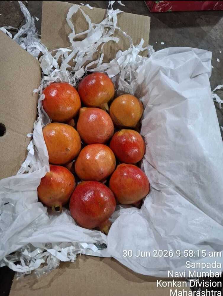 Super Bhagwa Pomegranate - Color: Red With Some Yellowish Spots