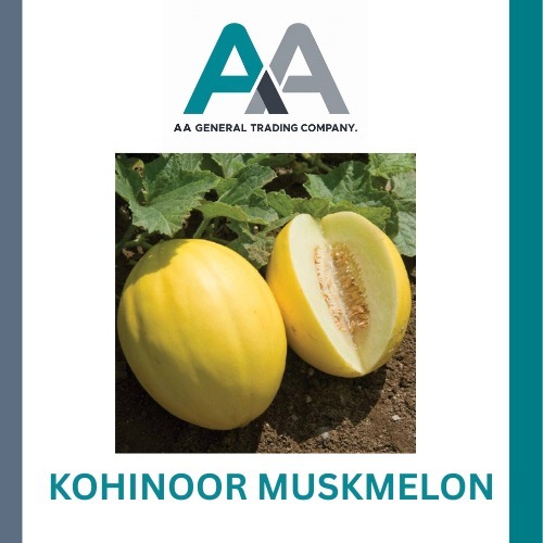 Fresh Muskmelon - Color: Bright Yellow (Outer)
