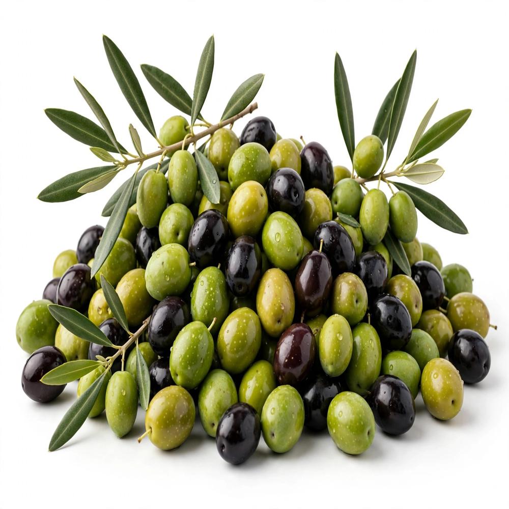 Olive Essential Oil - 100% Pure Herbal Seed Extract | Suitable For All Age Groups, Store In Cool & Dry Place For Optimal Shelf Life Of 2 Years