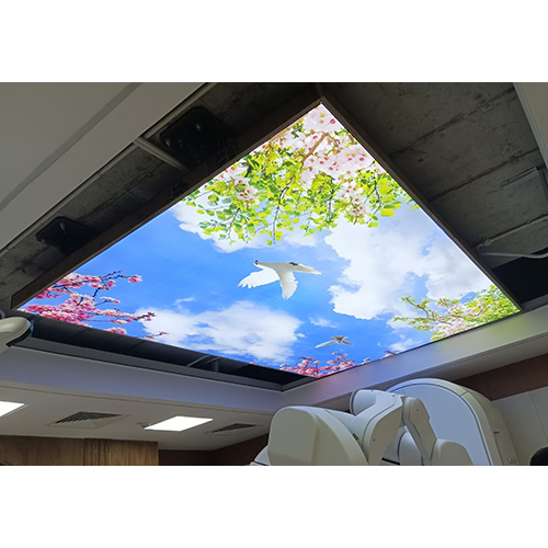 Sky With Trees And Bird False Ceiling Design