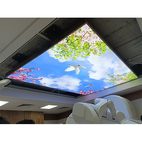 Sky Ceiling Design