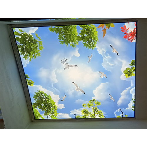 Sky Ceiling Design