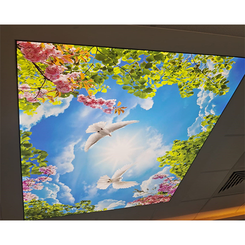 Sky Ceiling Design