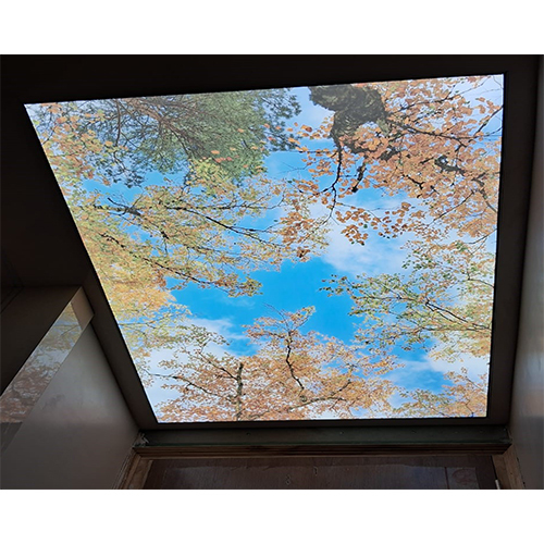 Sky Ceiling Design