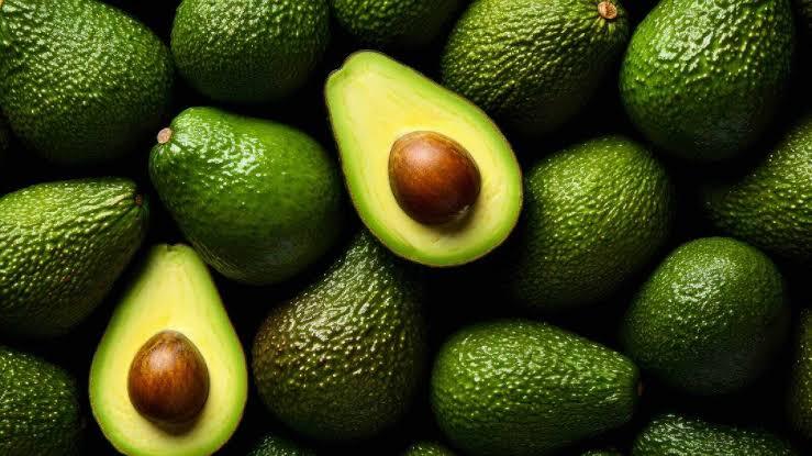 Avocado fruit