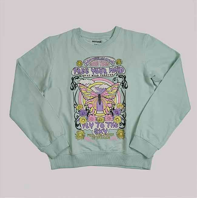 B16759 Boys N Girls Crew Neck Pullovers - Age Group: 2/3 Years To 13/14 Years