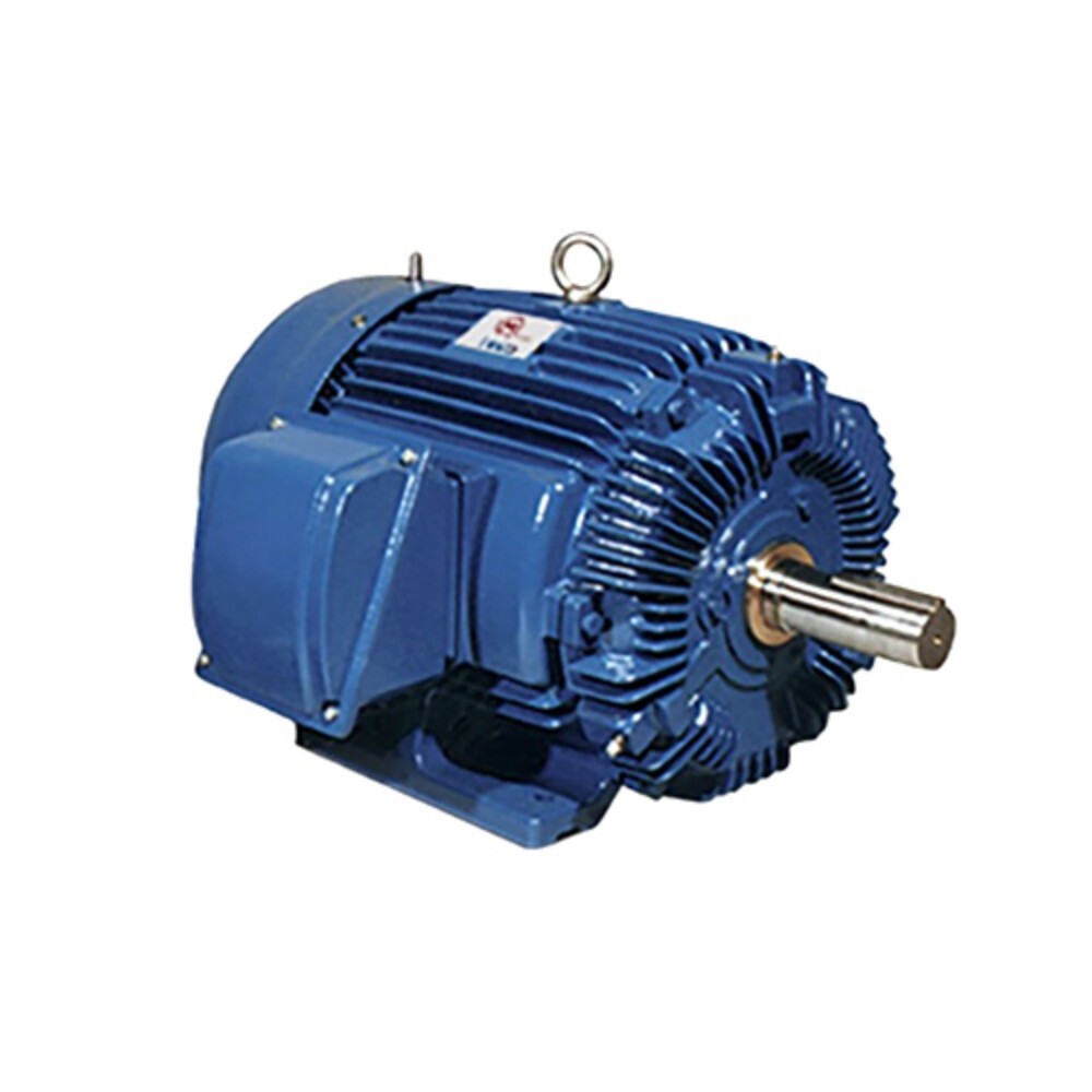 Motovario Electric Motor