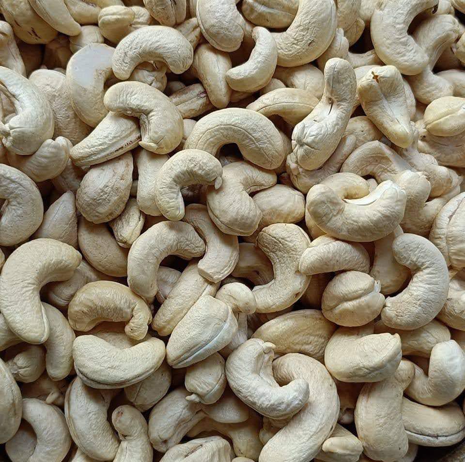 Cashew Kernal Half Broken
