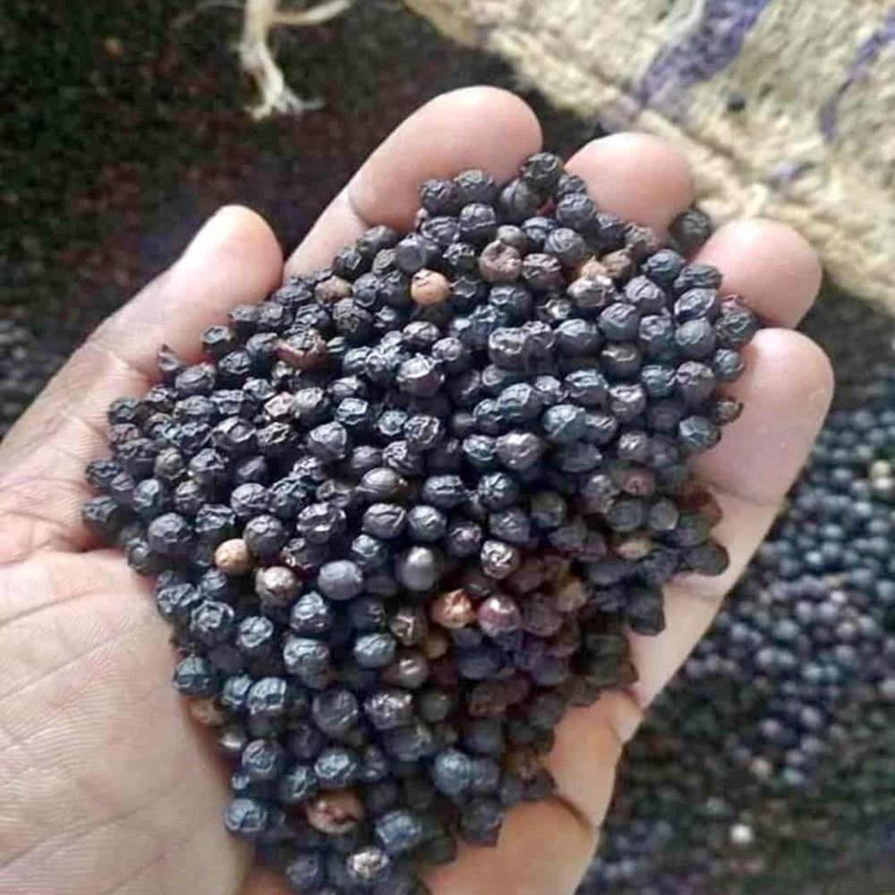 Black Peper