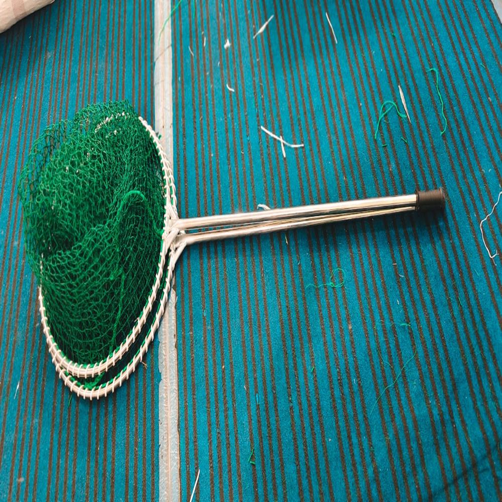 Dog Catching Net - Color: Green