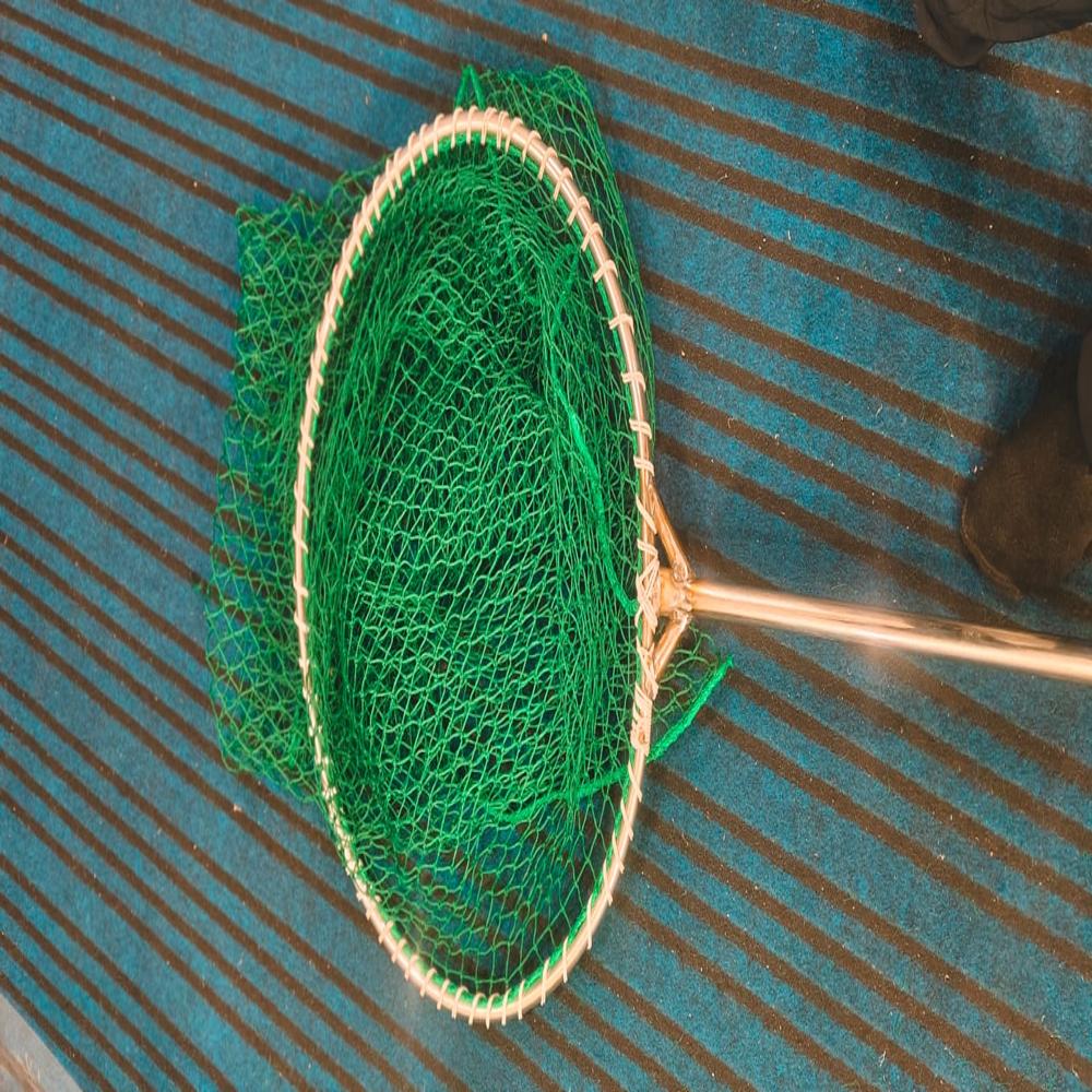 Dog Catching Net - Color: Green