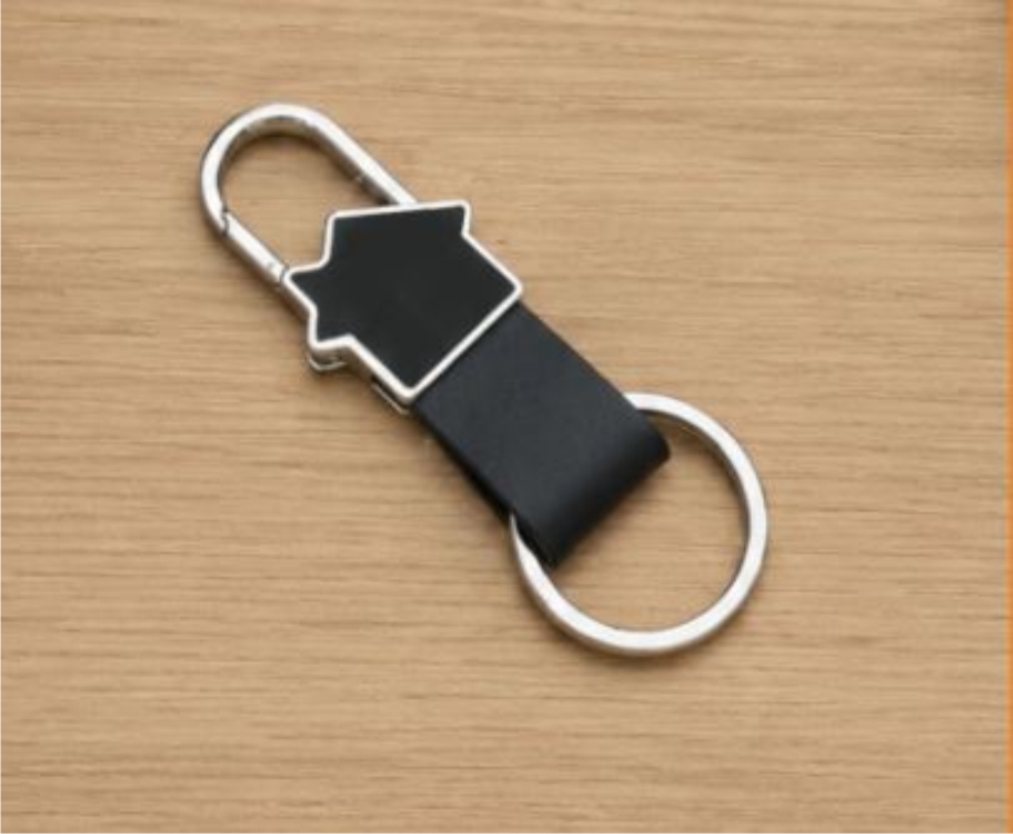 Exclusive Keychain - Battery Capacity: Na Statcoulomb (Statc)
