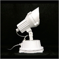 Blue Flood Light