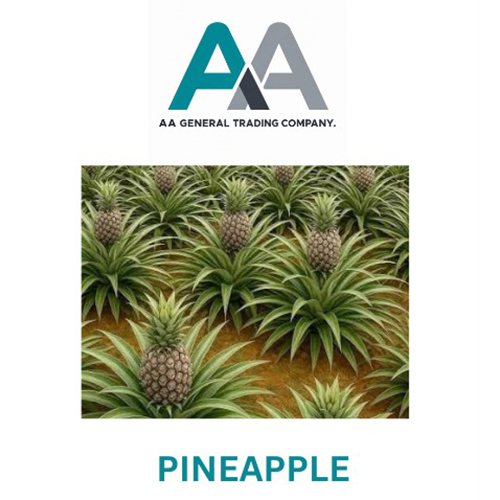 Fresh Pineapple - Color: Yellowish-Brown Exterior