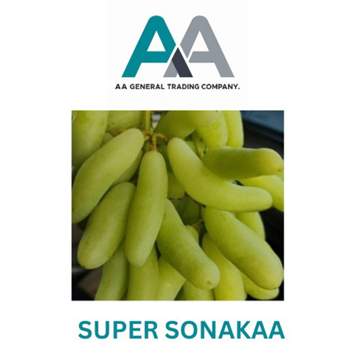 Super Sonakaa Grapes