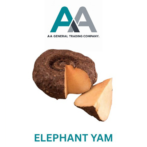 Elephant Yam
