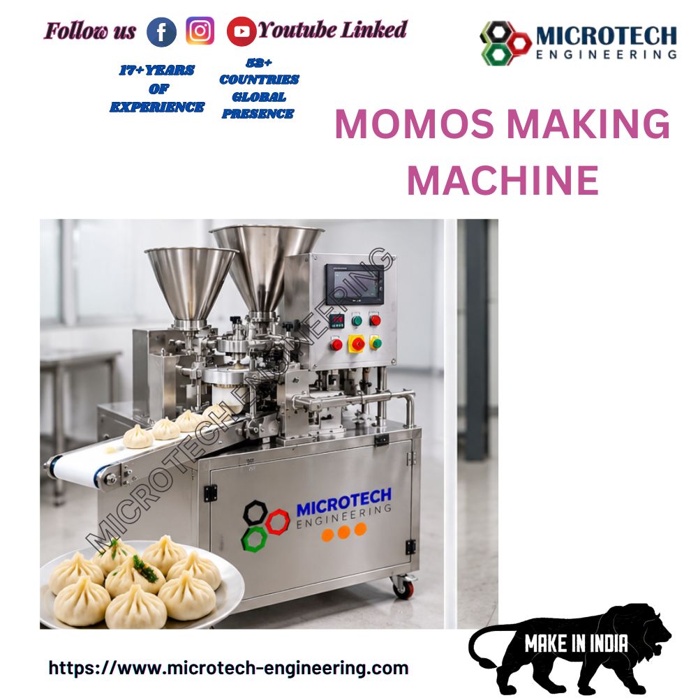 MOMOS MAKING PLANT