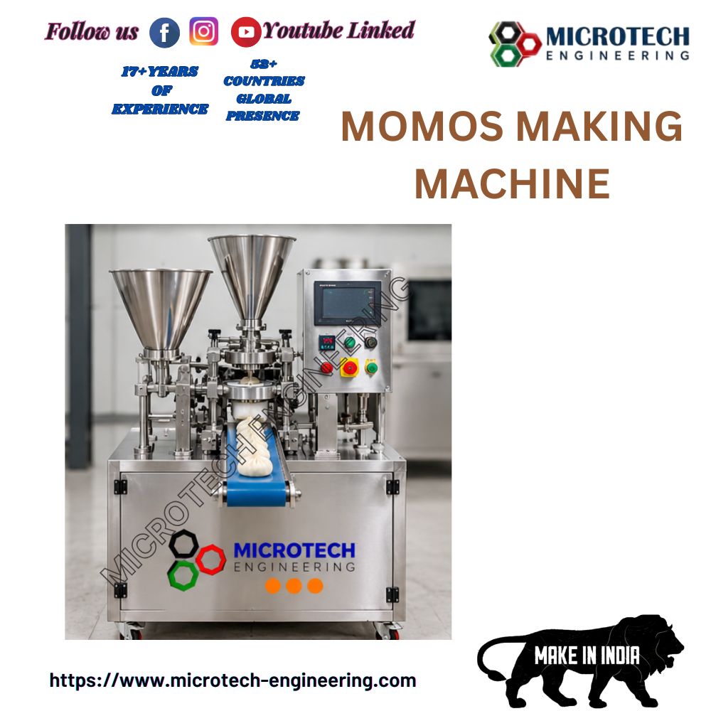 MOMOS MAKING PLANT