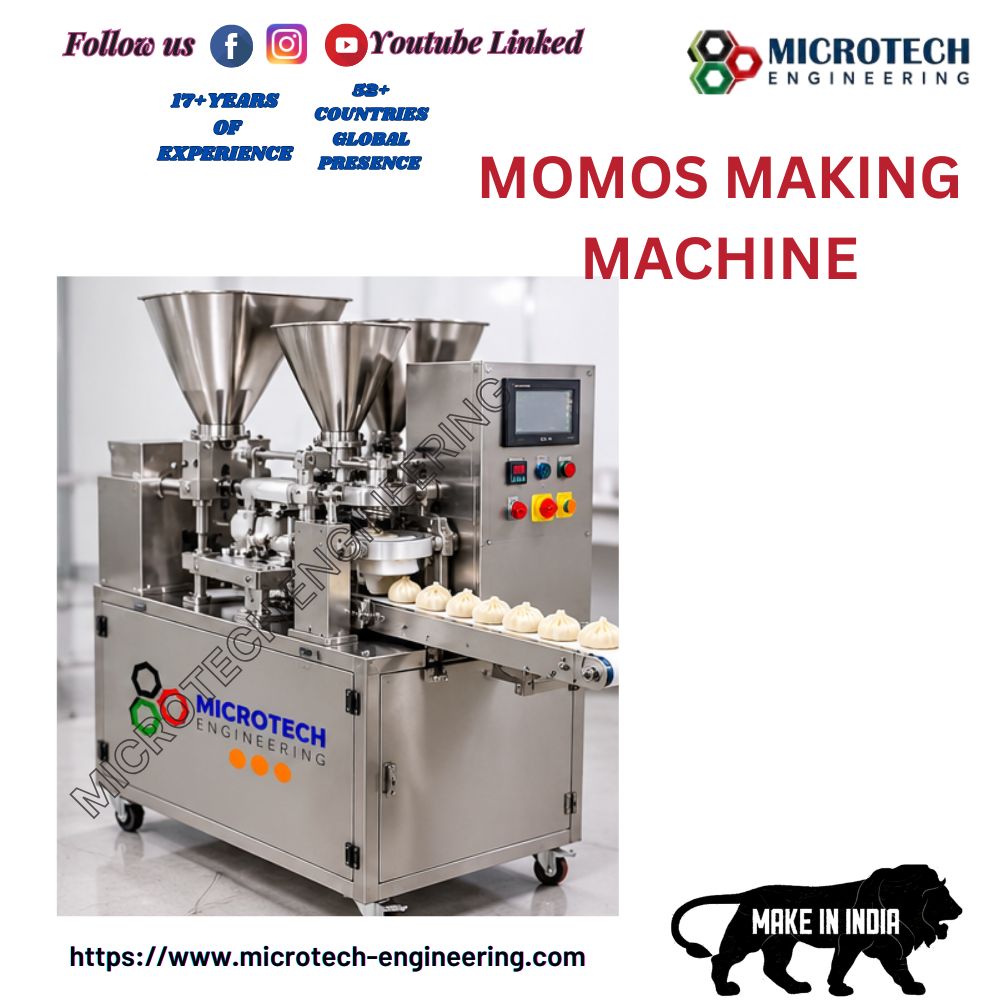 MOMOS MAKING PLANT