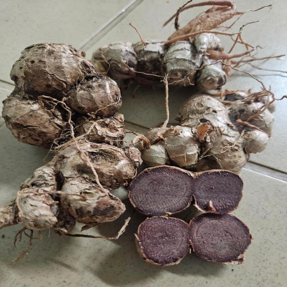 Black Ginger
