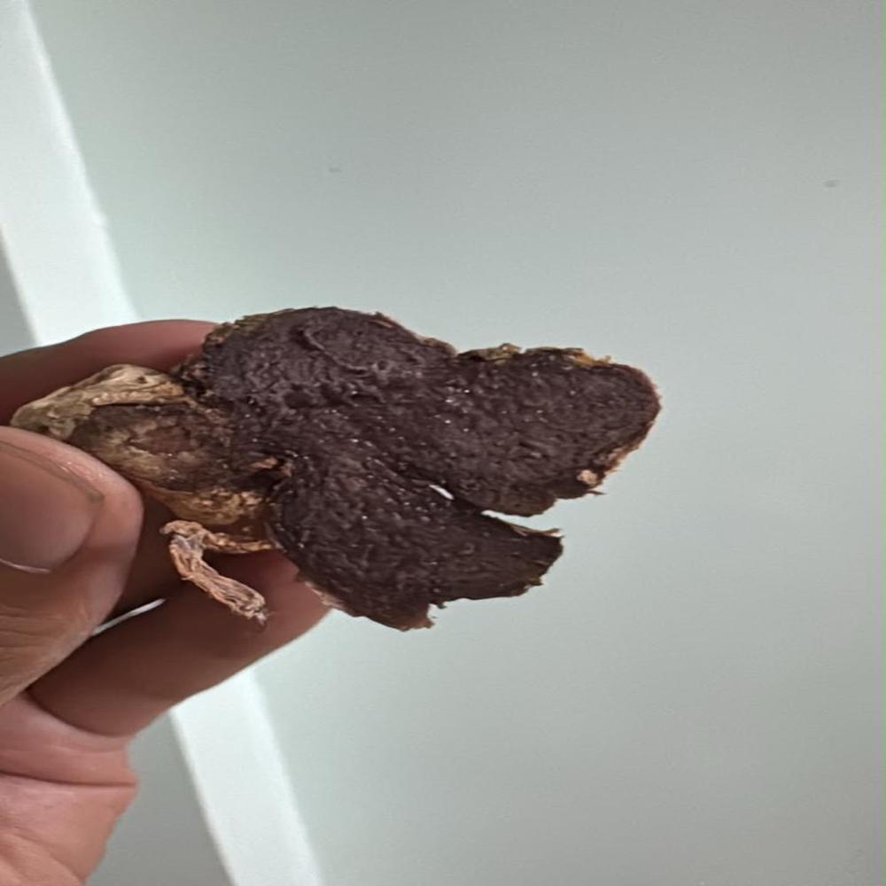 Black Ginger