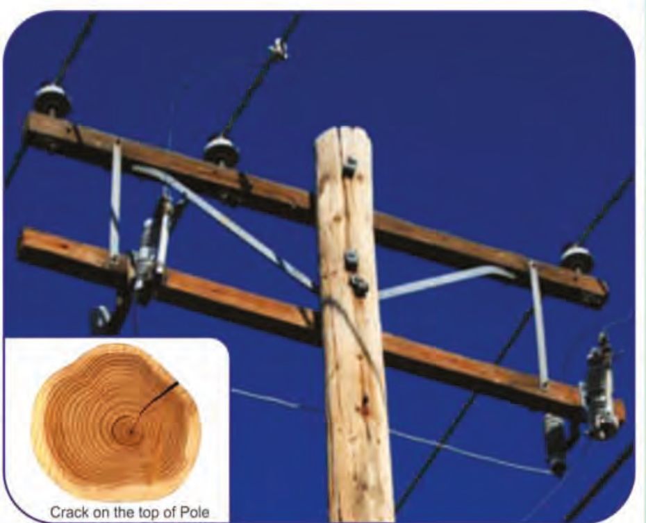 Heat Shrink Pole Cap For Wooden Poles (Polecap Gpc) - Coating Type: Hot-melt Adhesive Lining