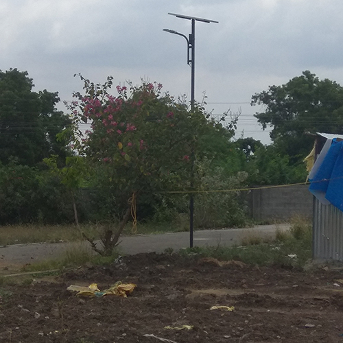 Solar Garden Light