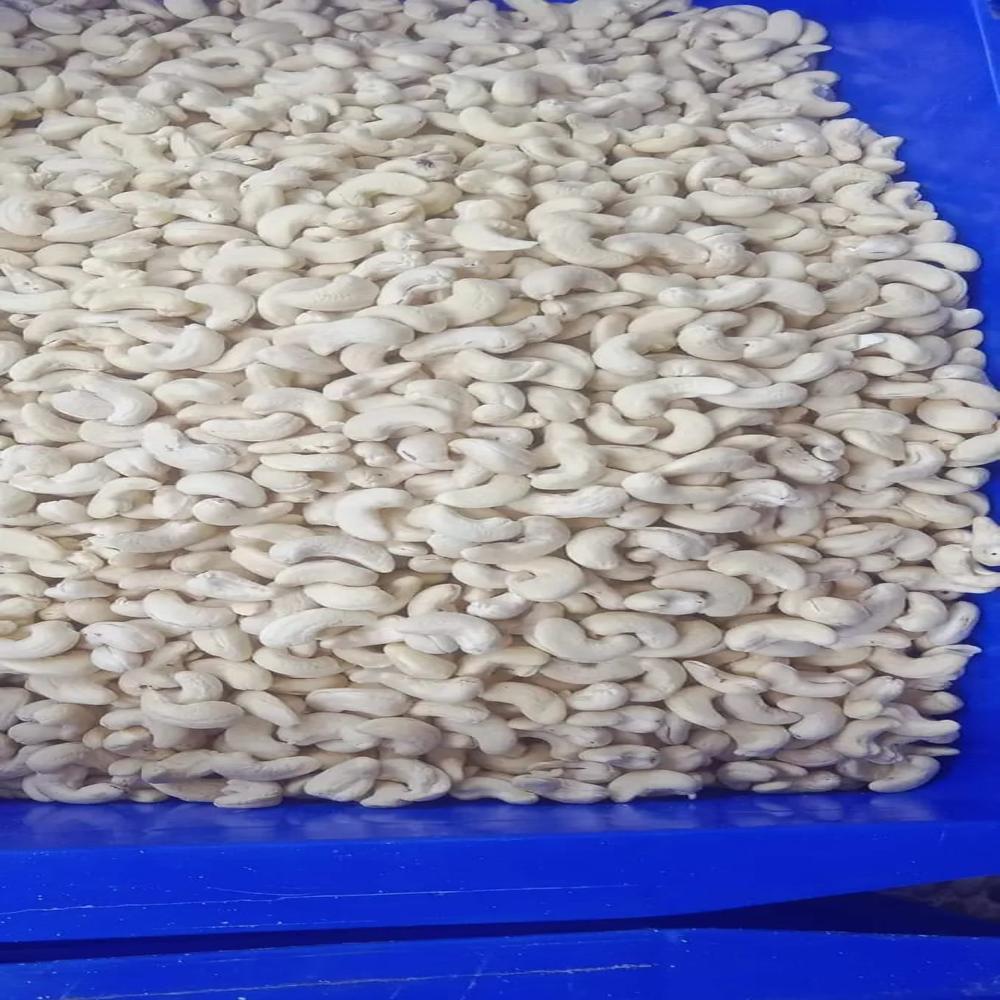 American Cashew Nut