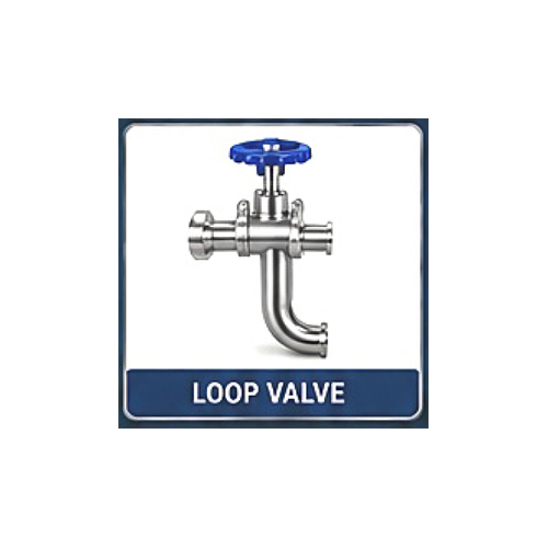 SS Loop Valve