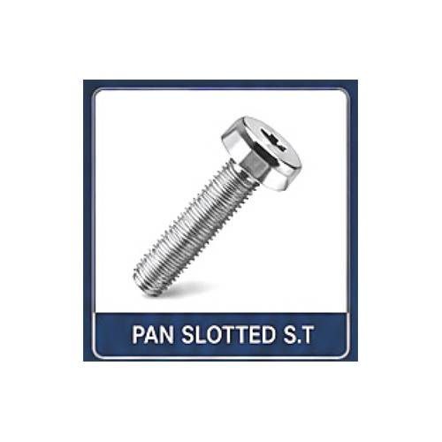 SS Pan Slotted Fastener
