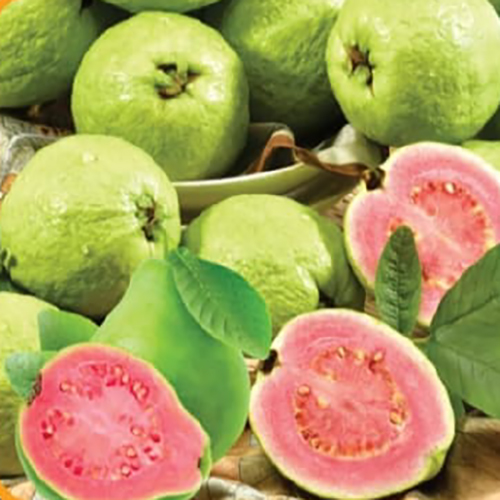 Fresh Guava