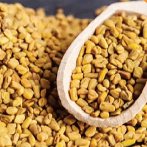 Feenugreek Seeds