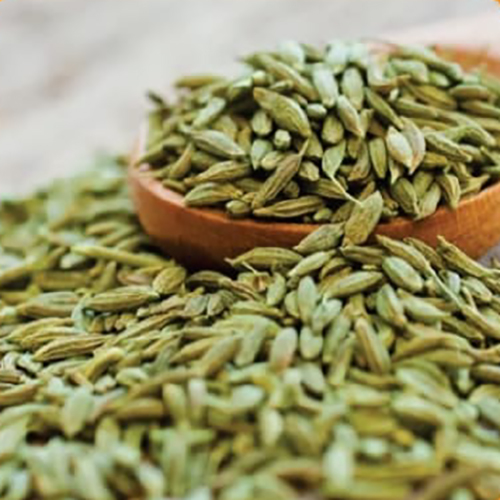 Fennel Seeds