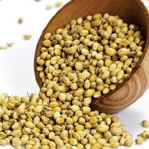 Coriander Seeds
