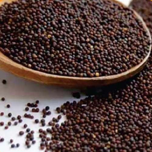 Mustard Seeds