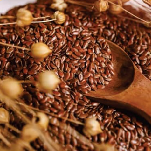 Flax Seeds