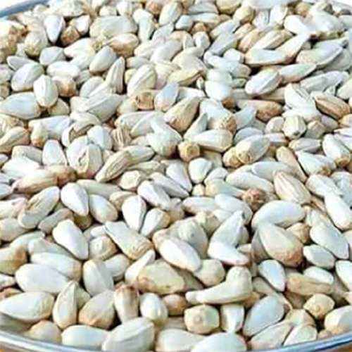 Safflower Seeds