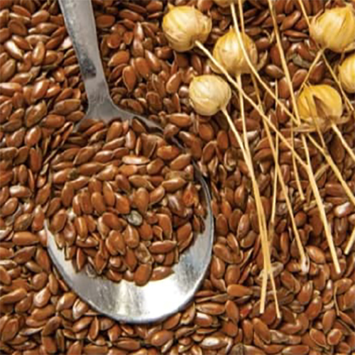 Linseed Flax