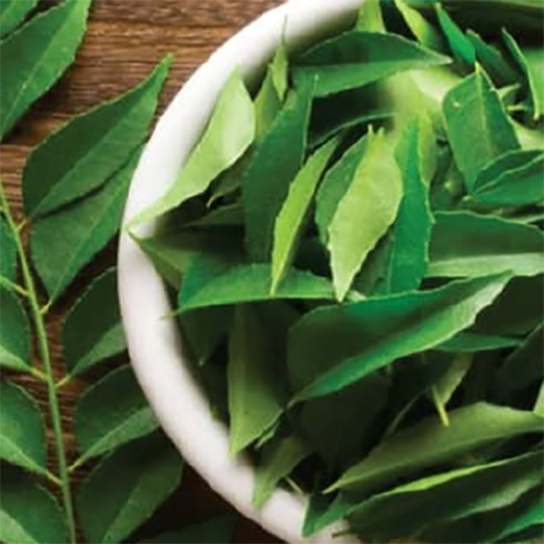Curry Leaves