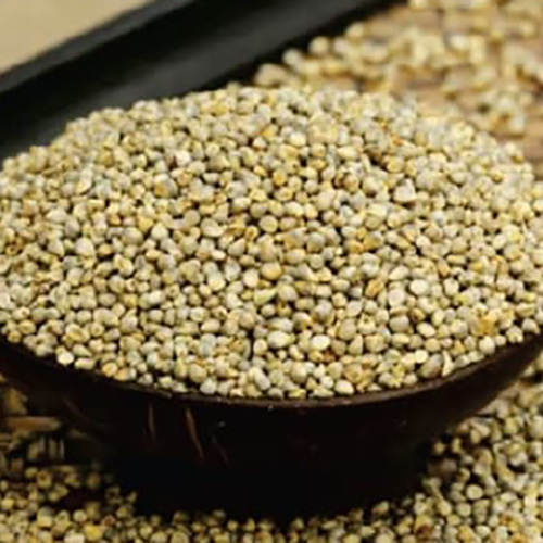Millet