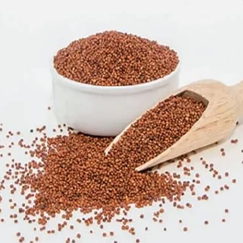 Ragi Finger Millet