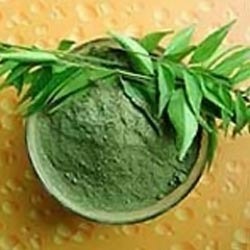 नीम पाउडर