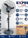 Metal Fody Pedestal Fan