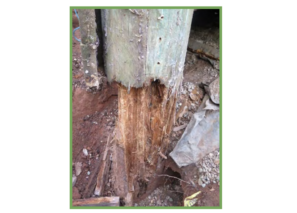 Heat Shrink Pole Protection Tube for New Wooden Poles (GPPT)
