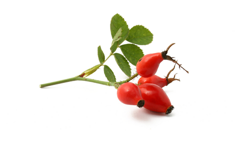 Rose hip oil