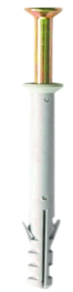 Frame fixing screw