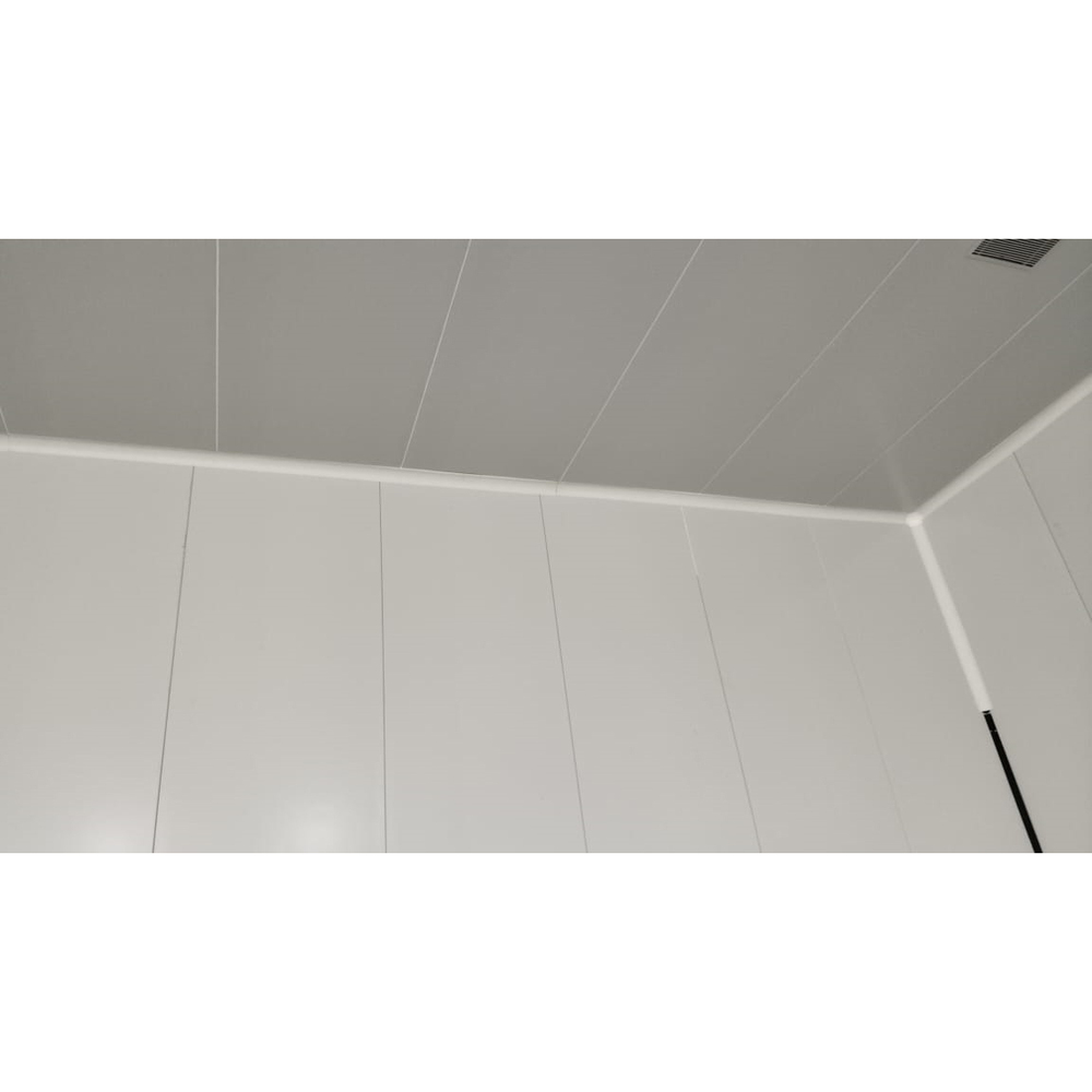 Industrial Cold Storage System