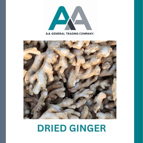 Dried Ginger